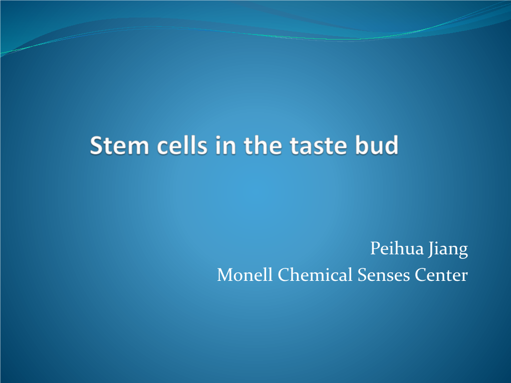 Stem Cells in the Taste