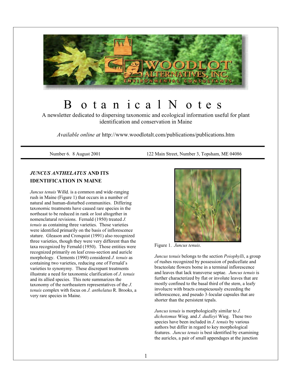 Botanical Notes a Newsletter Dedicated to Dispersing Taxonomic and Ecological Information Useful for Plant Identification and Conservation in Maine