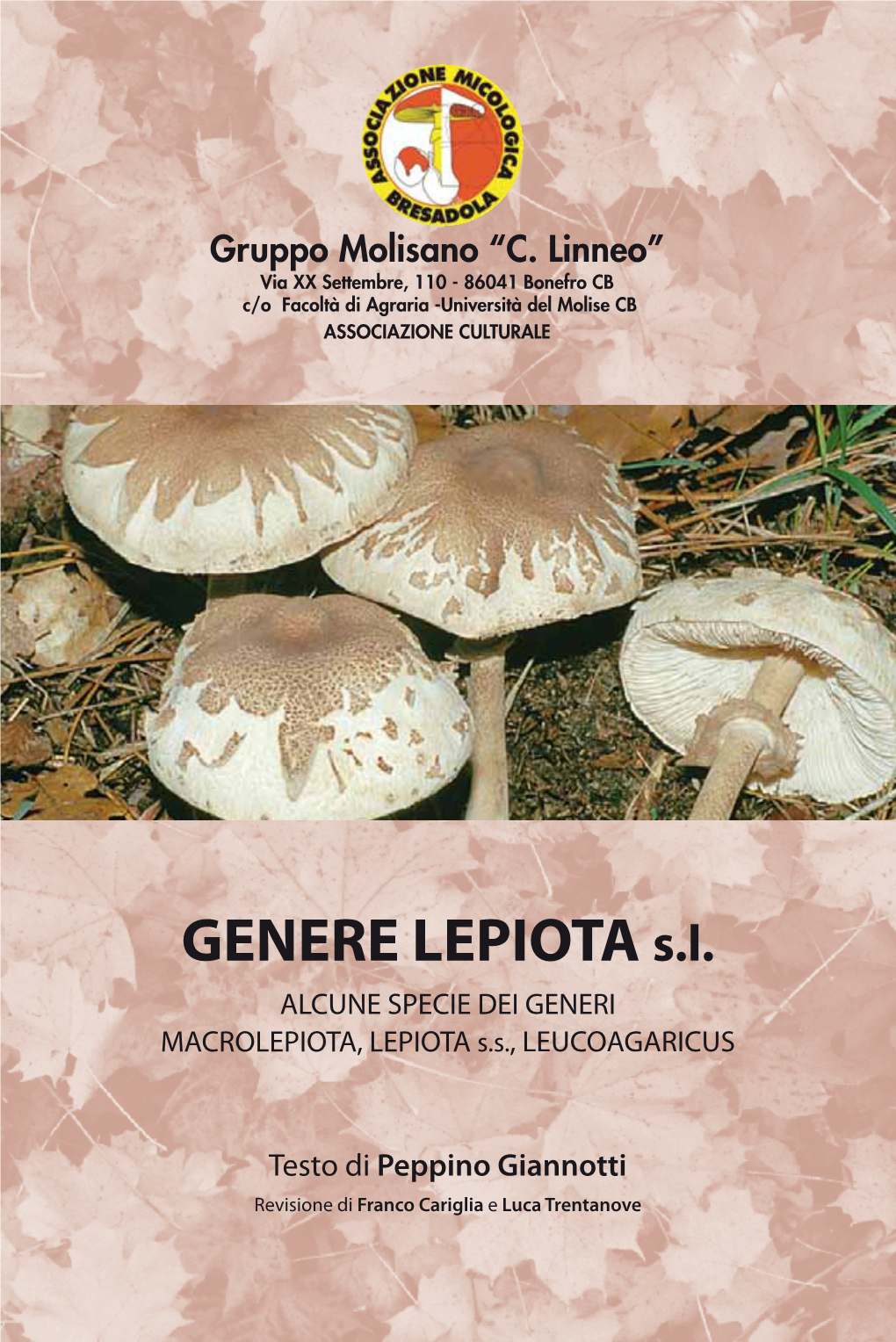 GENERE LEPIOTA S.L. ALCUNE SPECIE DEI GENERI MACROLEPIOTA, LEPIOTA S.S., LEUCOAGARICUS