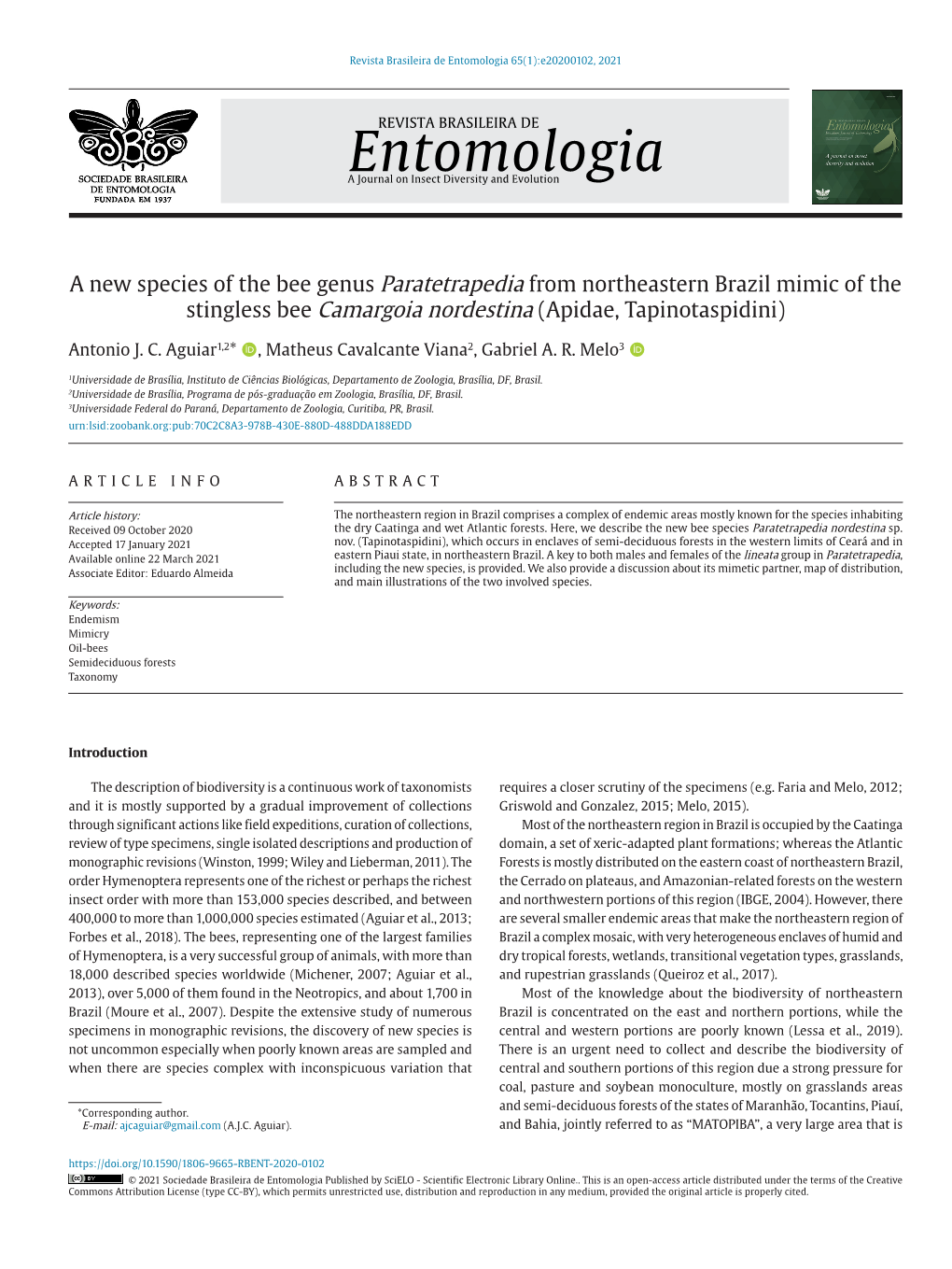 A New Species of the Bee Genus Paratetrapedia from Northeastern Brazil Mimic of the Stingless Bee Camargoia Nordestina (Apidae, Tapinotaspidini)