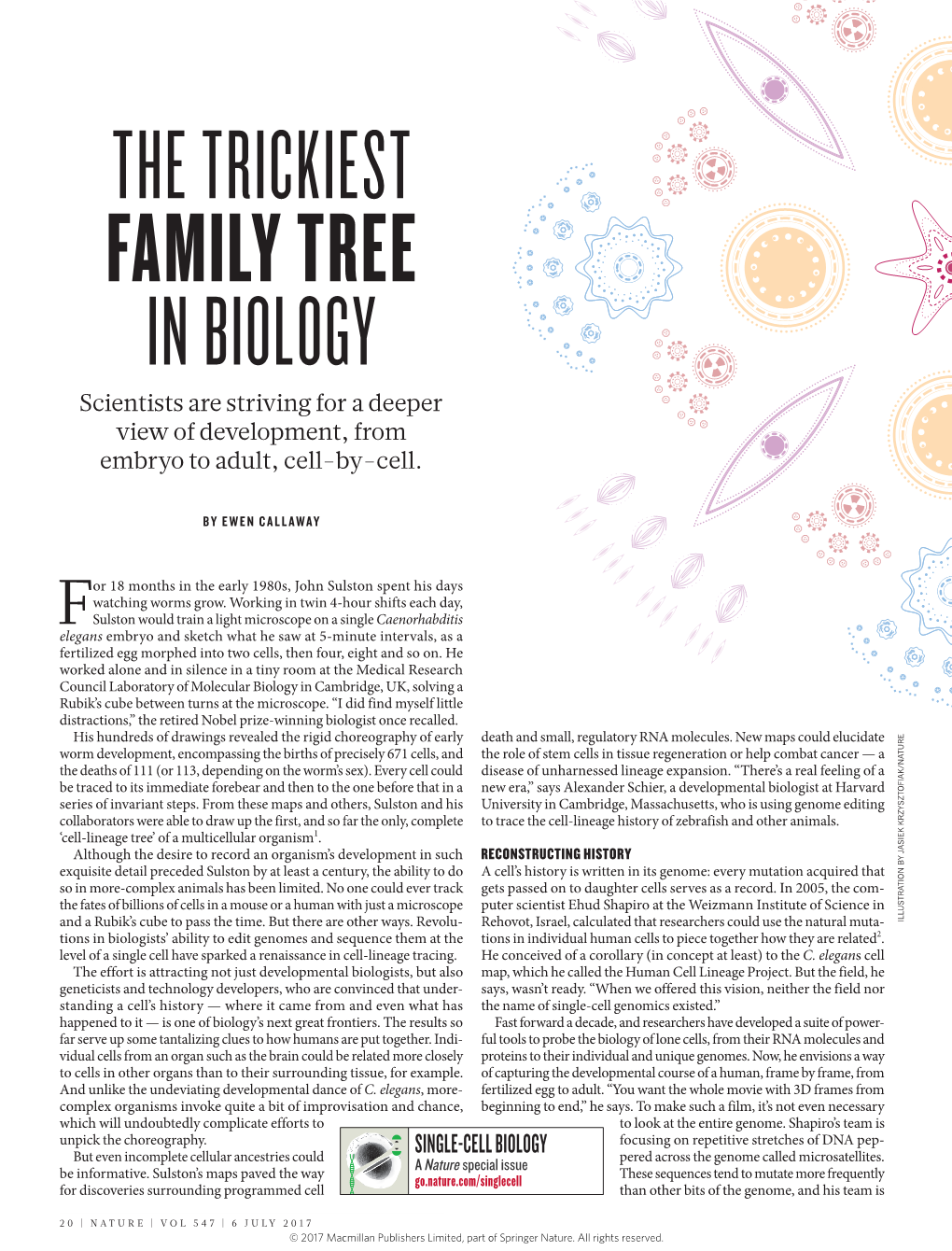 THE TRICKIEST FAMILY TREE in BIOLOGY Scientists Are Striving for a Deeper View of Development, from Embryo to Adult, Cell-By-Cell