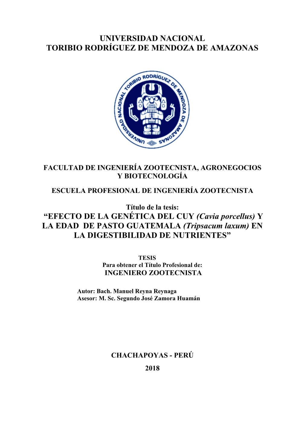 UNIVERSIDAD NACIONAL TORIBIO RODRÍGUEZ DE MENDOZA DE AMAZONAS “EFECTO DE LA GENÉTICA DEL CUY (Cavia Porcellus) Y LA EDAD DE