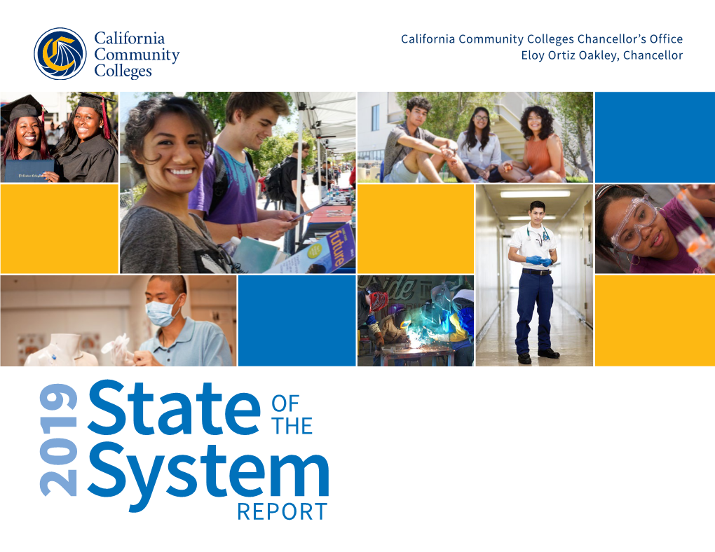 2019 STATE of the SYSTEM REPORT 2017-18 African American STUDENT DEMOGRAPHICS by ETHNICITY 5.9% American Indian/ Alaskan Native 0.43% Asian 11.56%