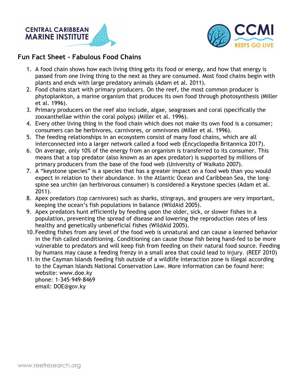 Fun Fact Sheet - Fabulous Food Chains 1