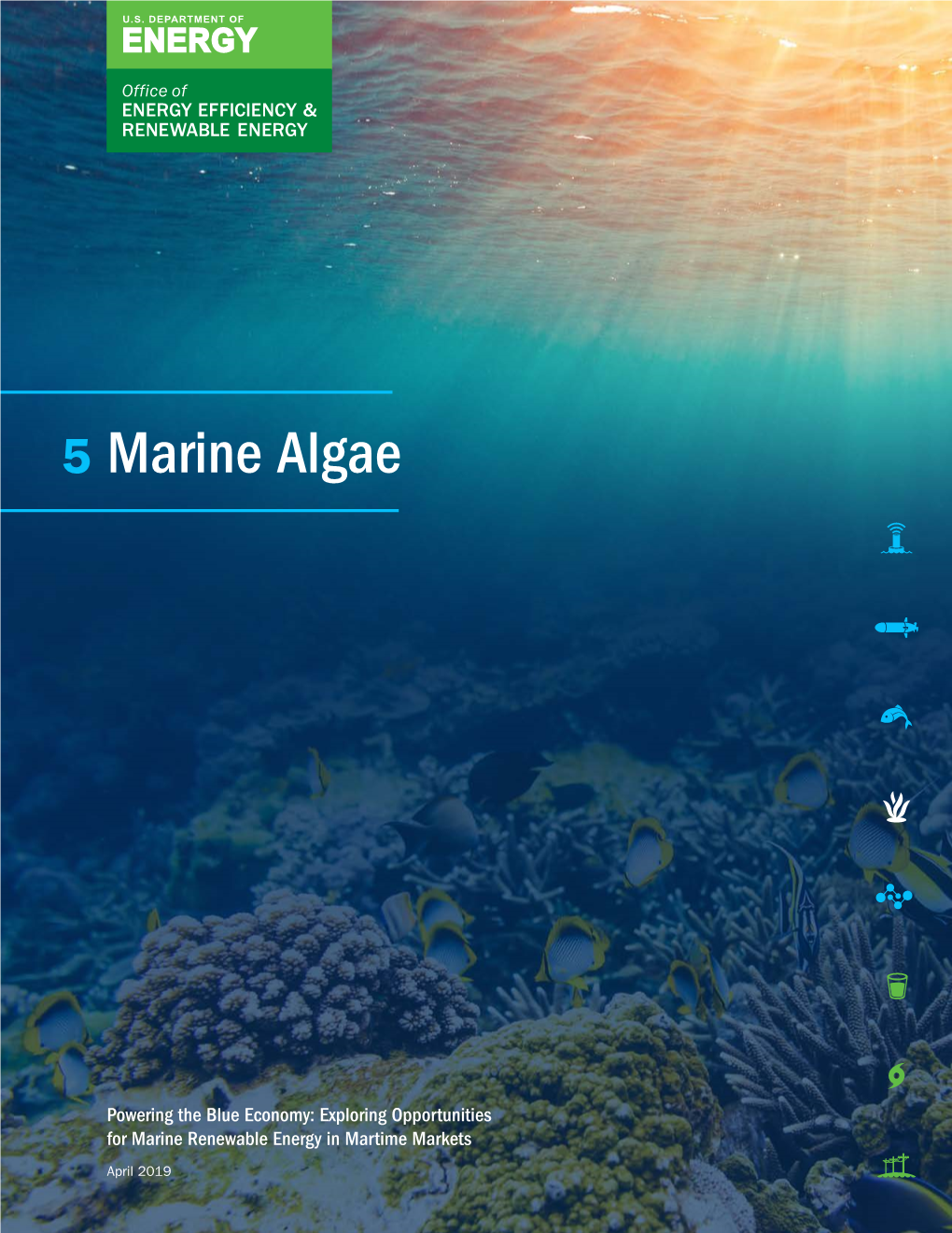 Marine Algae