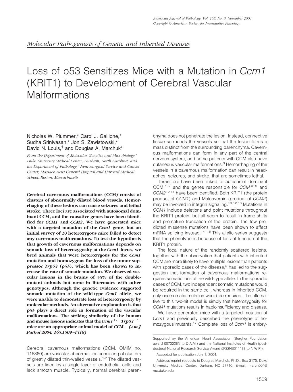 Loss of P53 Sensitizes Mice with a Mutation in Ccm1 (KRIT1) to Development of Cerebral Vascular Malformations