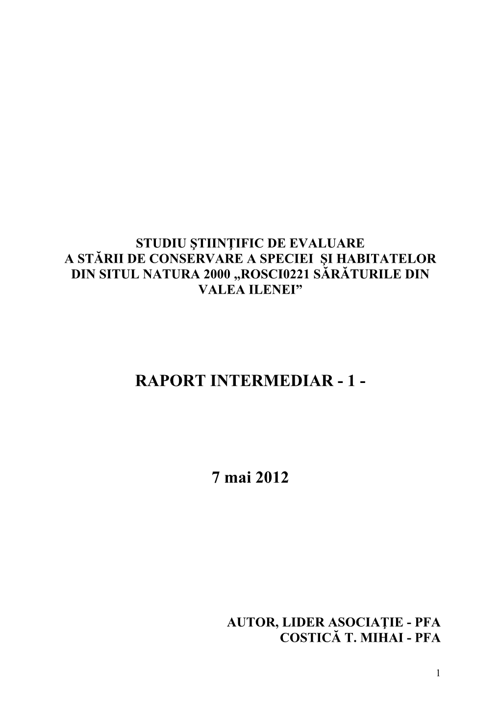 Raport Intermediar - 1