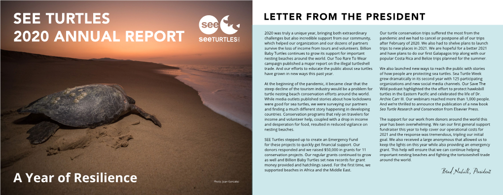 See Turtles 2020 Annual Report