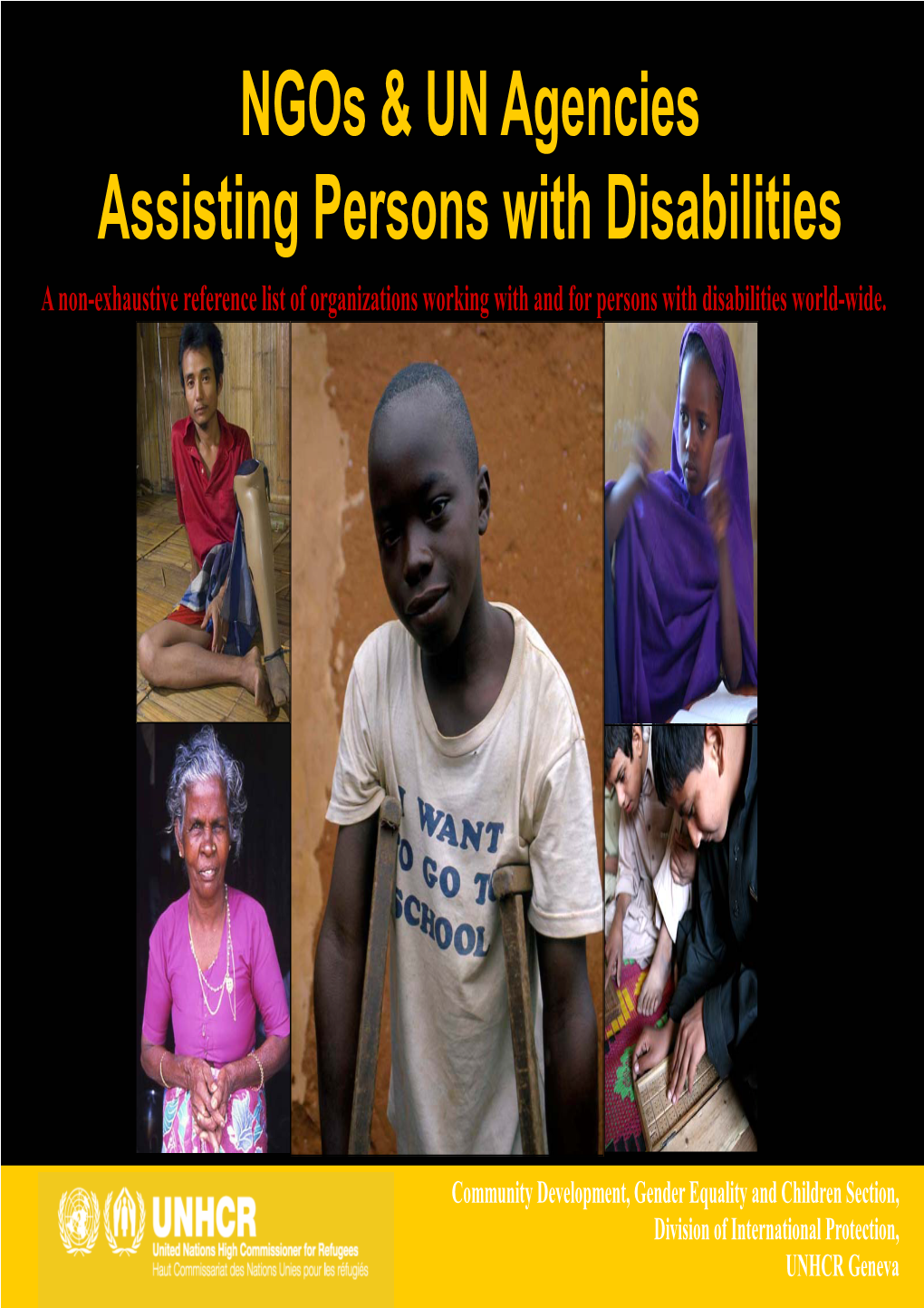 Ngos and UN Agencies Assisting Persons with Disabilities