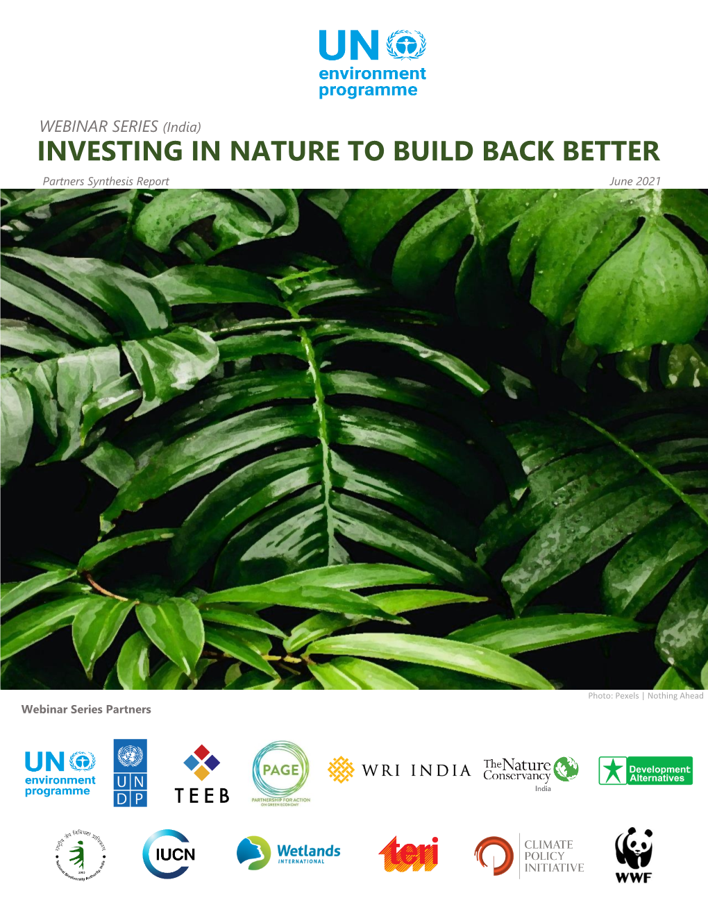 Investing-In-Nature-To-Build-Back-Better