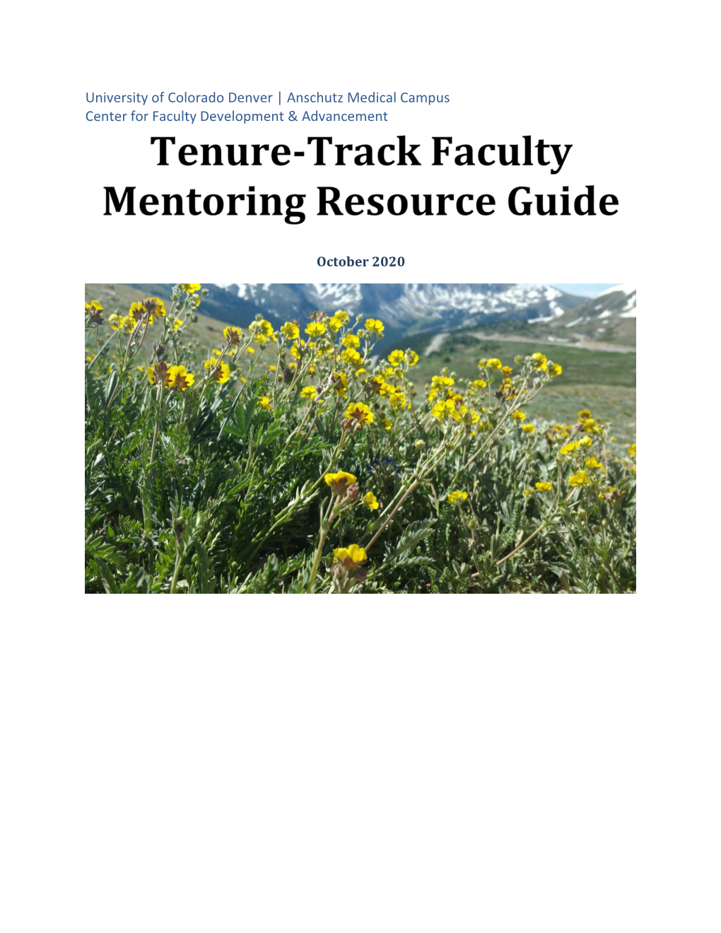 Tenure Track Mentoring Resource