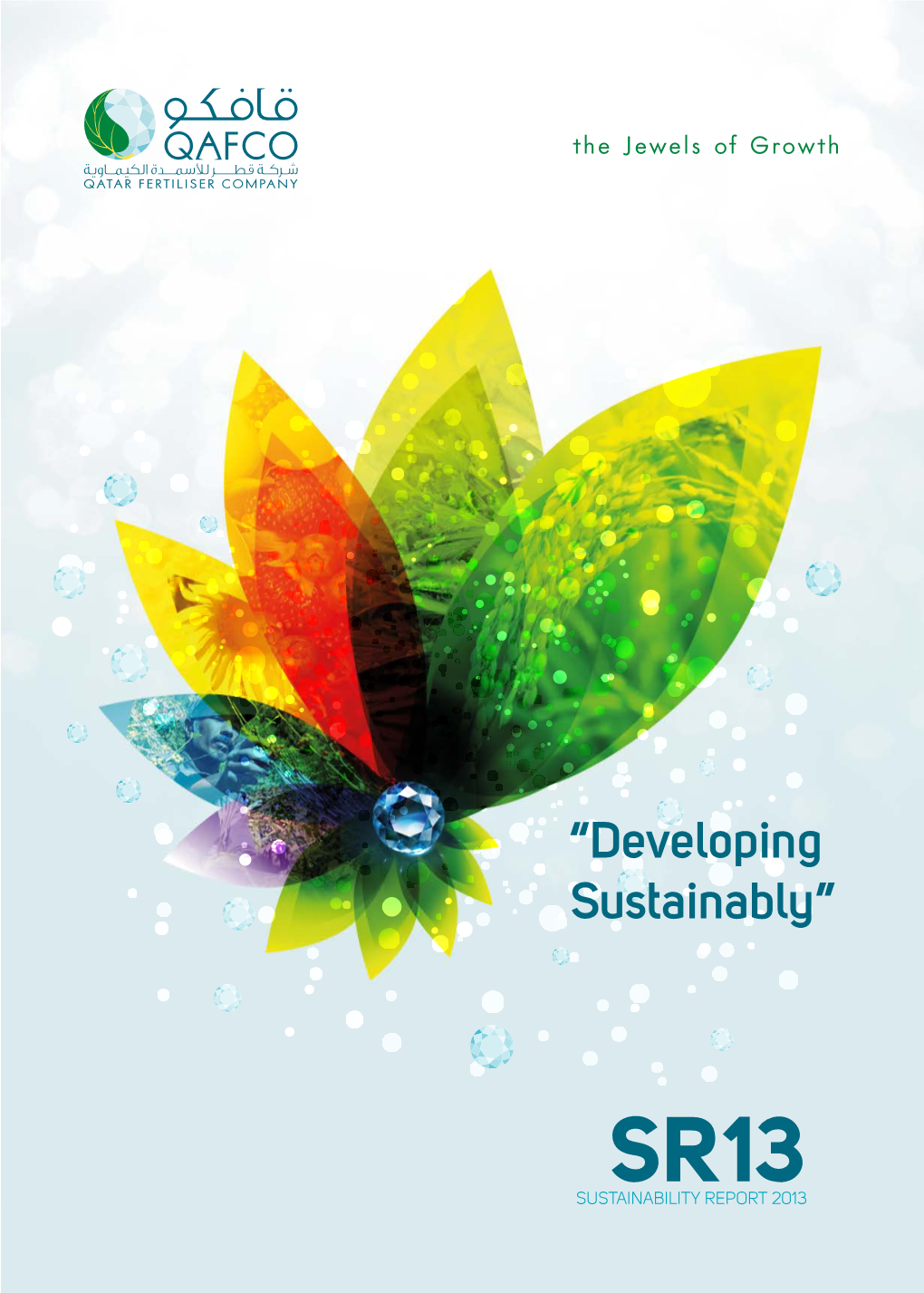 Sustainability Report 2013