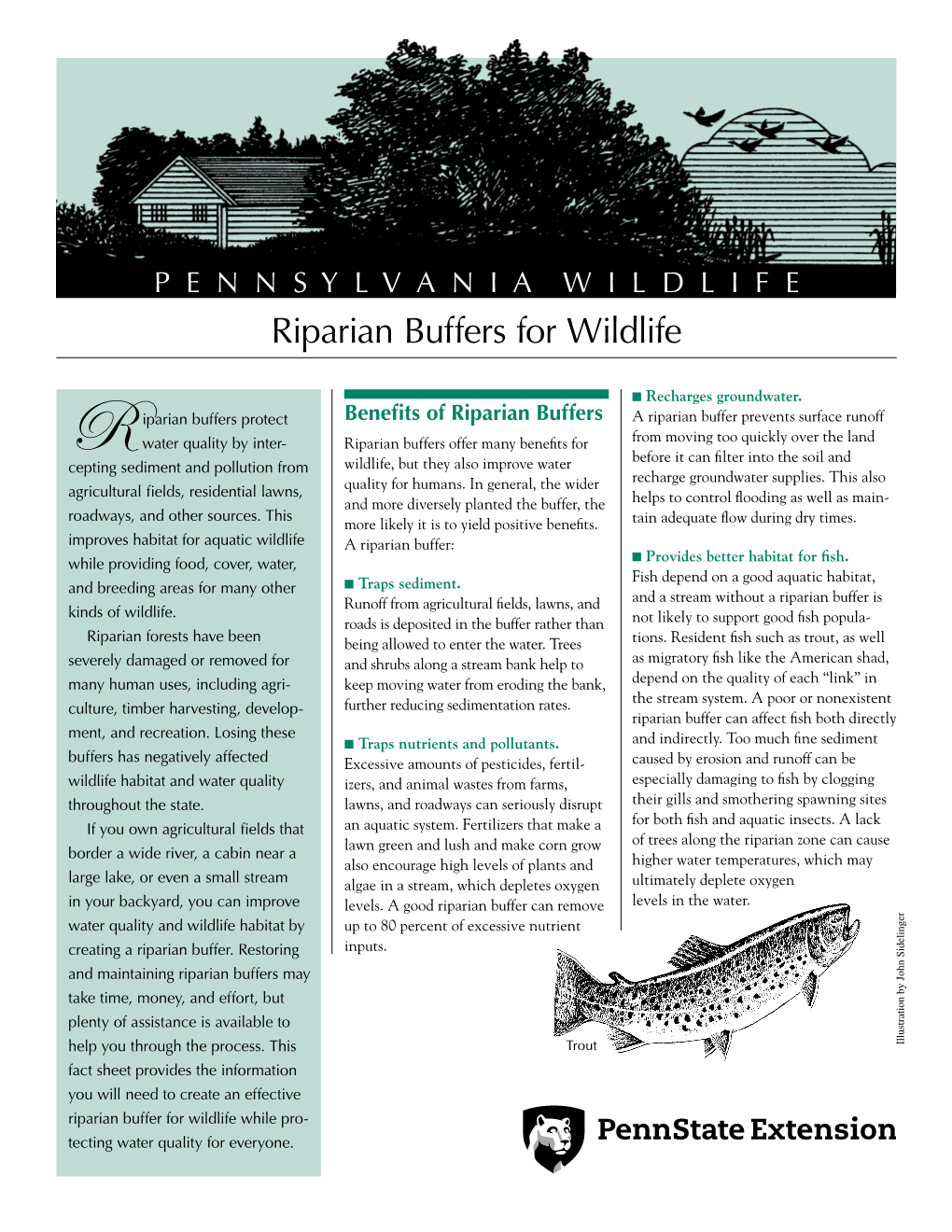 Riparian Buffers for Wildlife