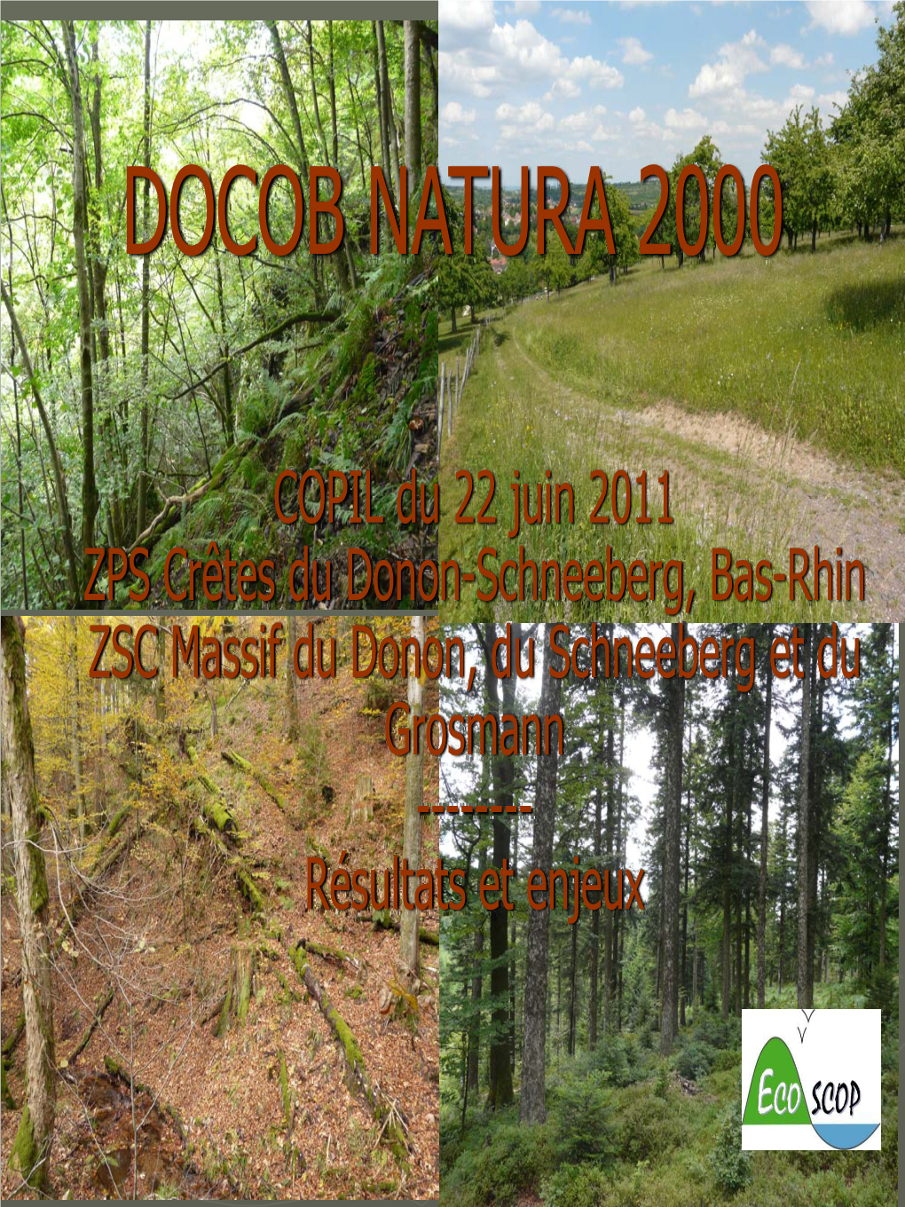 COPIL Du 22 Juin 2011 ZPS Crêtes Du Donon-Schneeberg, Bas-Rhin ZSC Massif Du Donon, Du Schneeberg Et Du Grosmann ------Résultats Et Enjeux Présentation : 1
