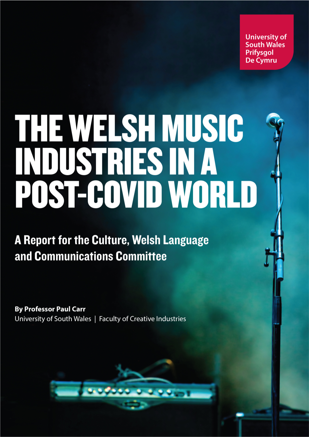 Paul Carr Culture Welsh Language and CC Report