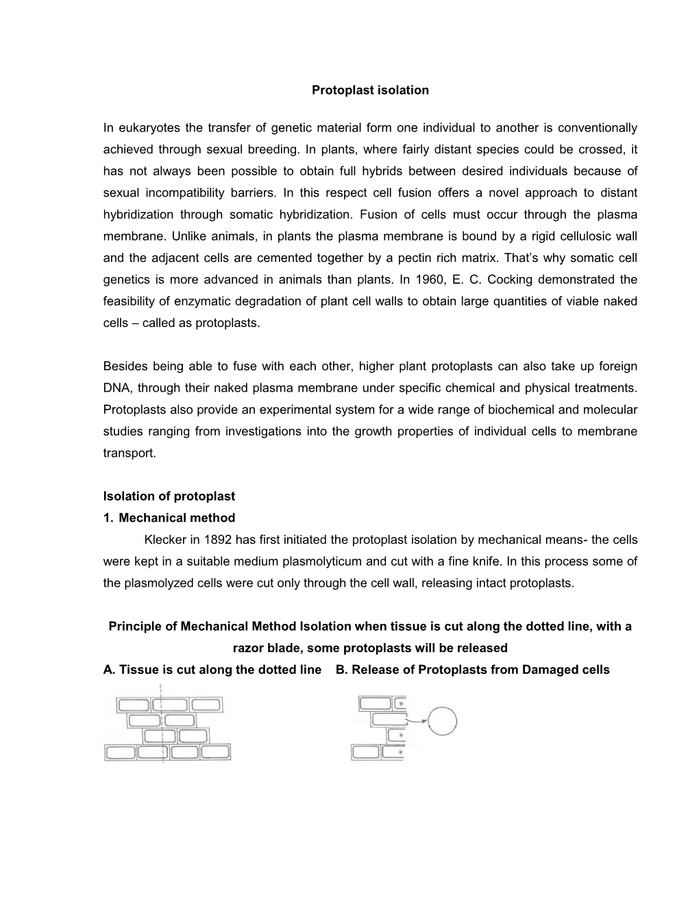 Protoplast Isolation in Eukaryotes the Transfer of Genetic Material Form One