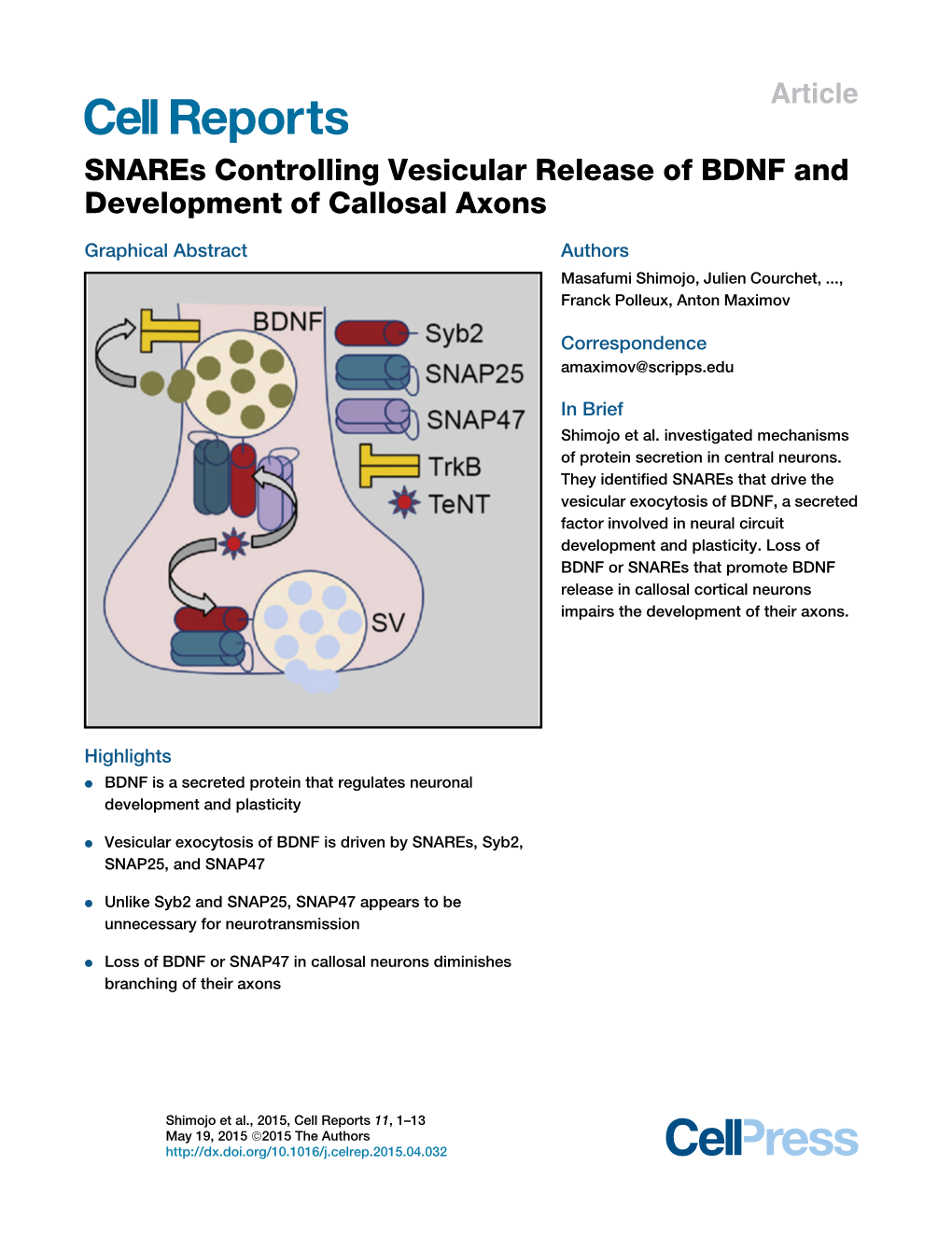 Snares Controlling Vesicular Release of BDNF and Development of Callosal Axons