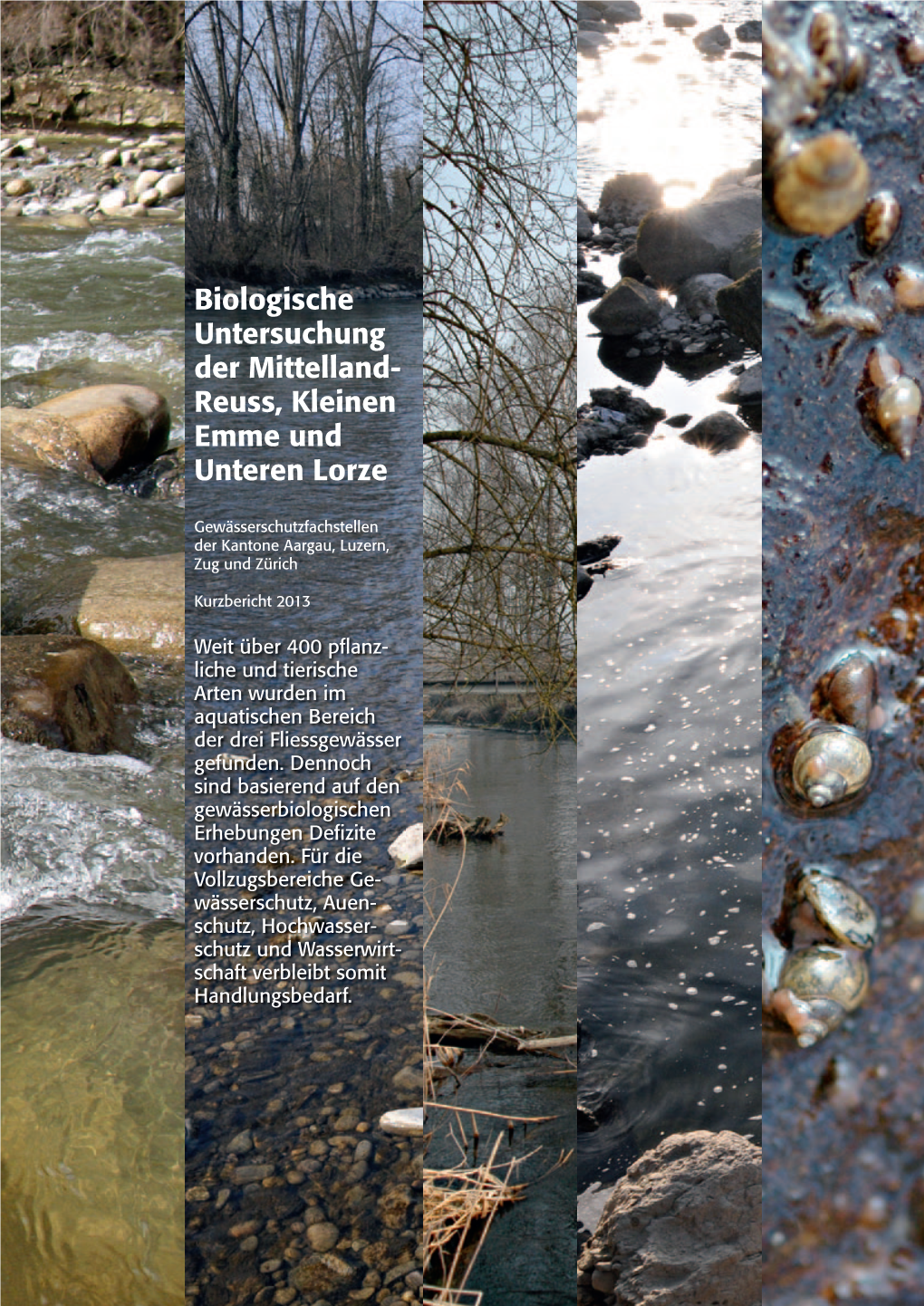 Biologische Untersuchung Der Mittelland Reuss, Kleinen Emme