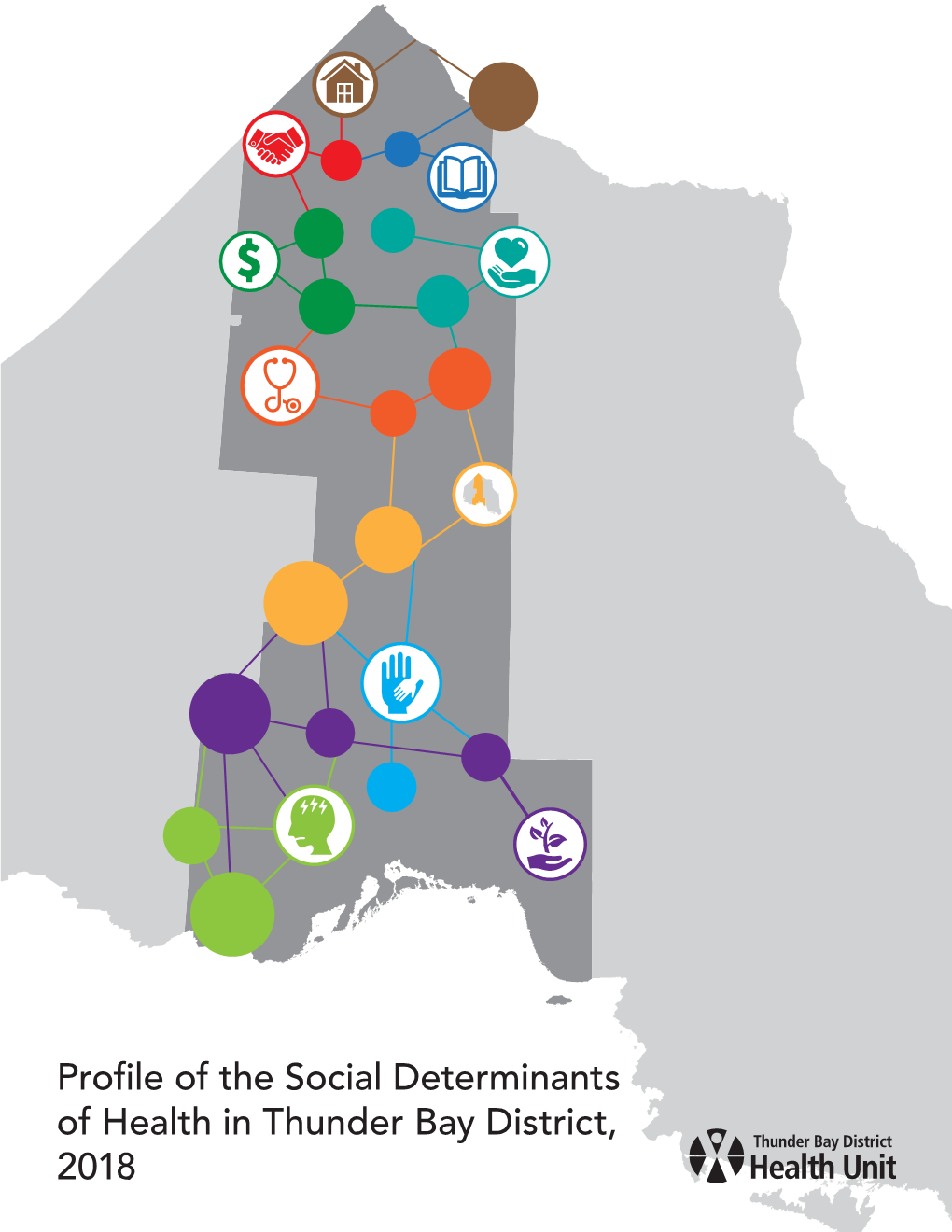 Profile of the Social Determinants in Thunder Bay District, 2018