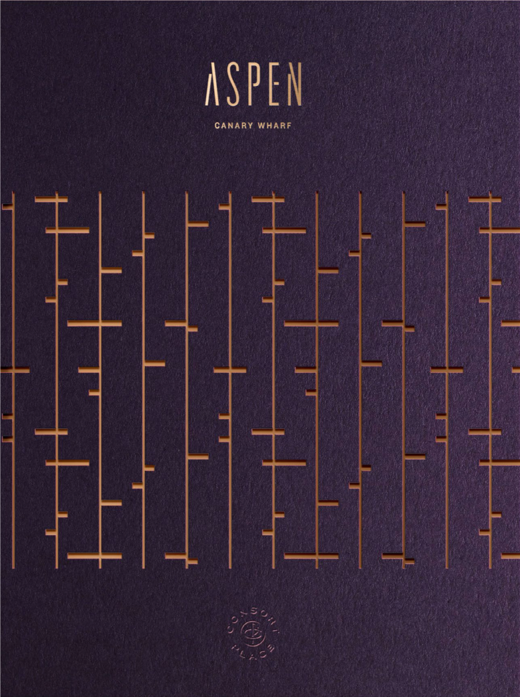 ASPEN Brochure