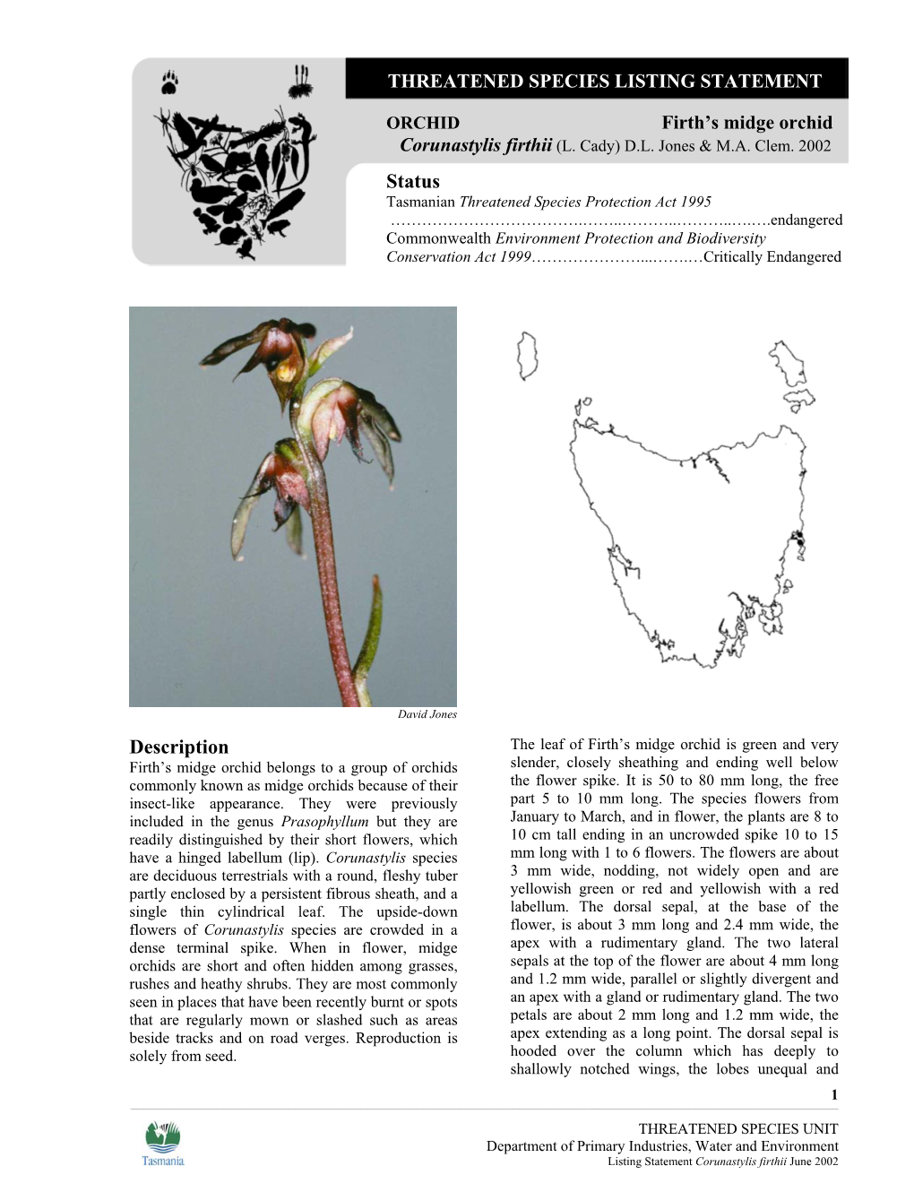 Firth's Midge Orchid Corunastylis Firthii