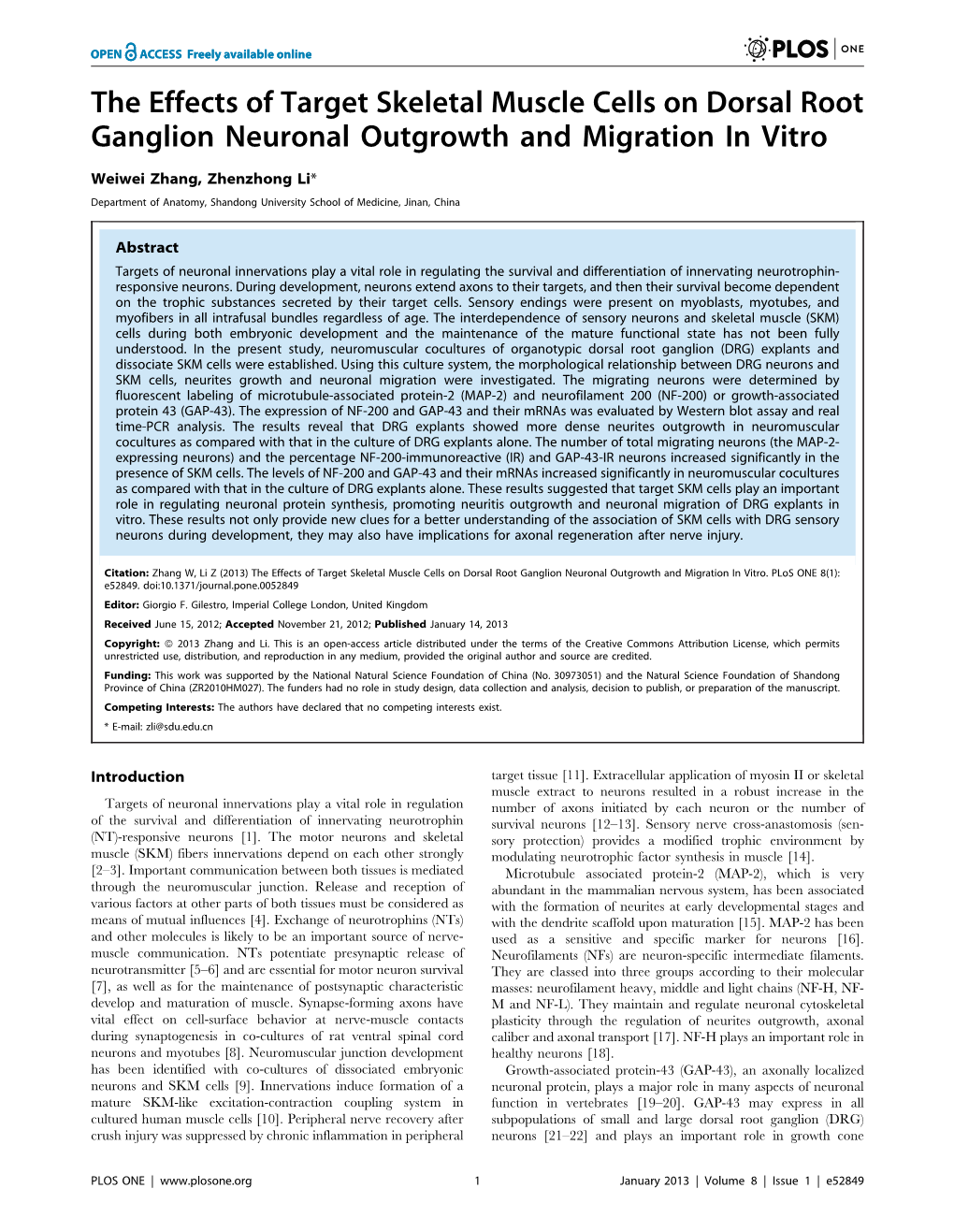 The Effects of Target Skeletal Muscle Cells on Dorsal Root Ganglion Neuronal Outgrowth and Migration in Vitro