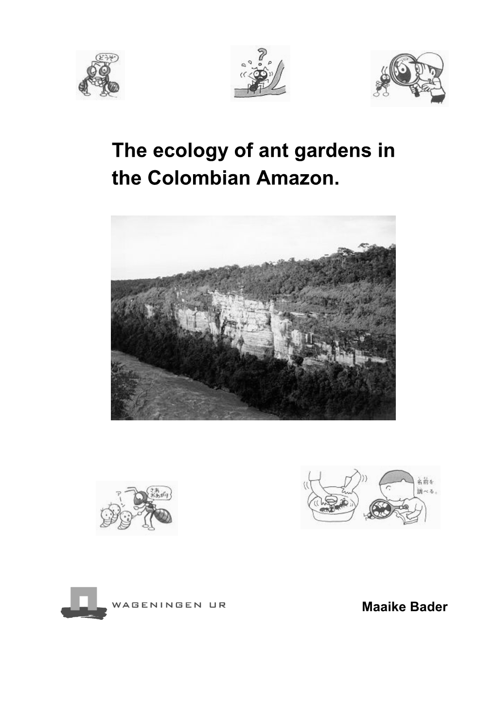 The Ecology of Ant Gardens in the Colombian Amazon