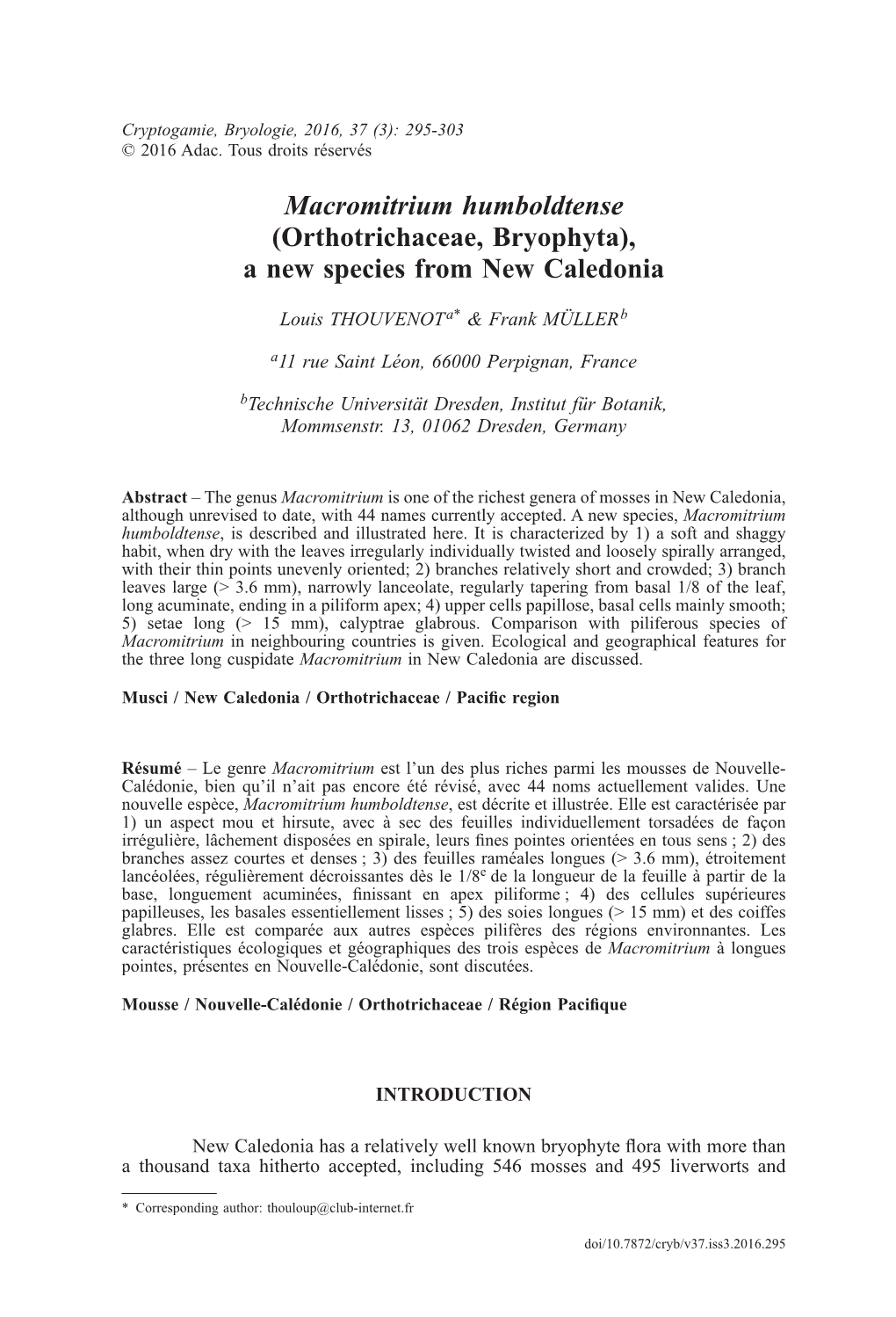 Macromitrium Humboldtense (Orthotrichaceae, Bryophyta), a New Species from New Caledonia