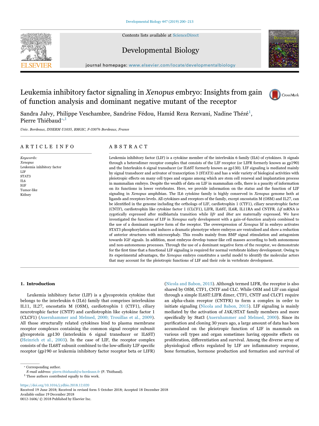 Leukemia Inhibitory Factor Signaling in Xenopus Embryo Insights