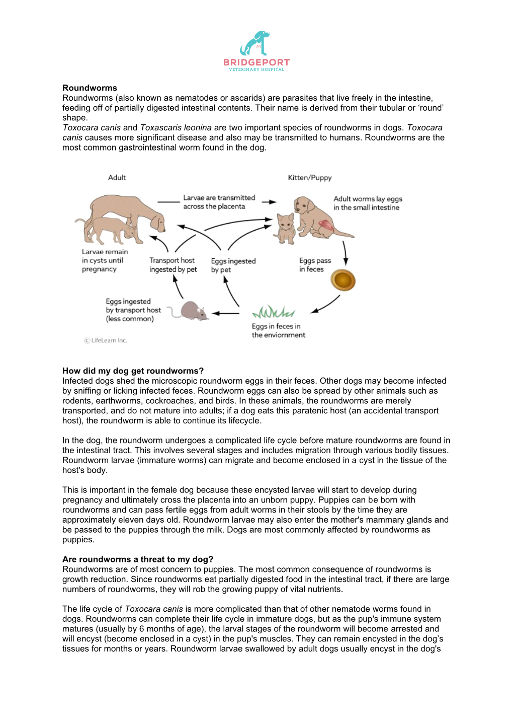 Roundworms Roundworms (Also Known As Nematodes Or Ascarids) Are Parasites That Live Freely in the Intestine, Feeding Off of Partially Digested Intestinal Contents