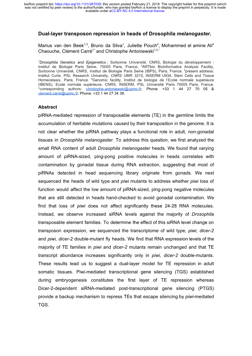 Dual-Layer Transposon Repression in Heads of Drosophila Melanogaster