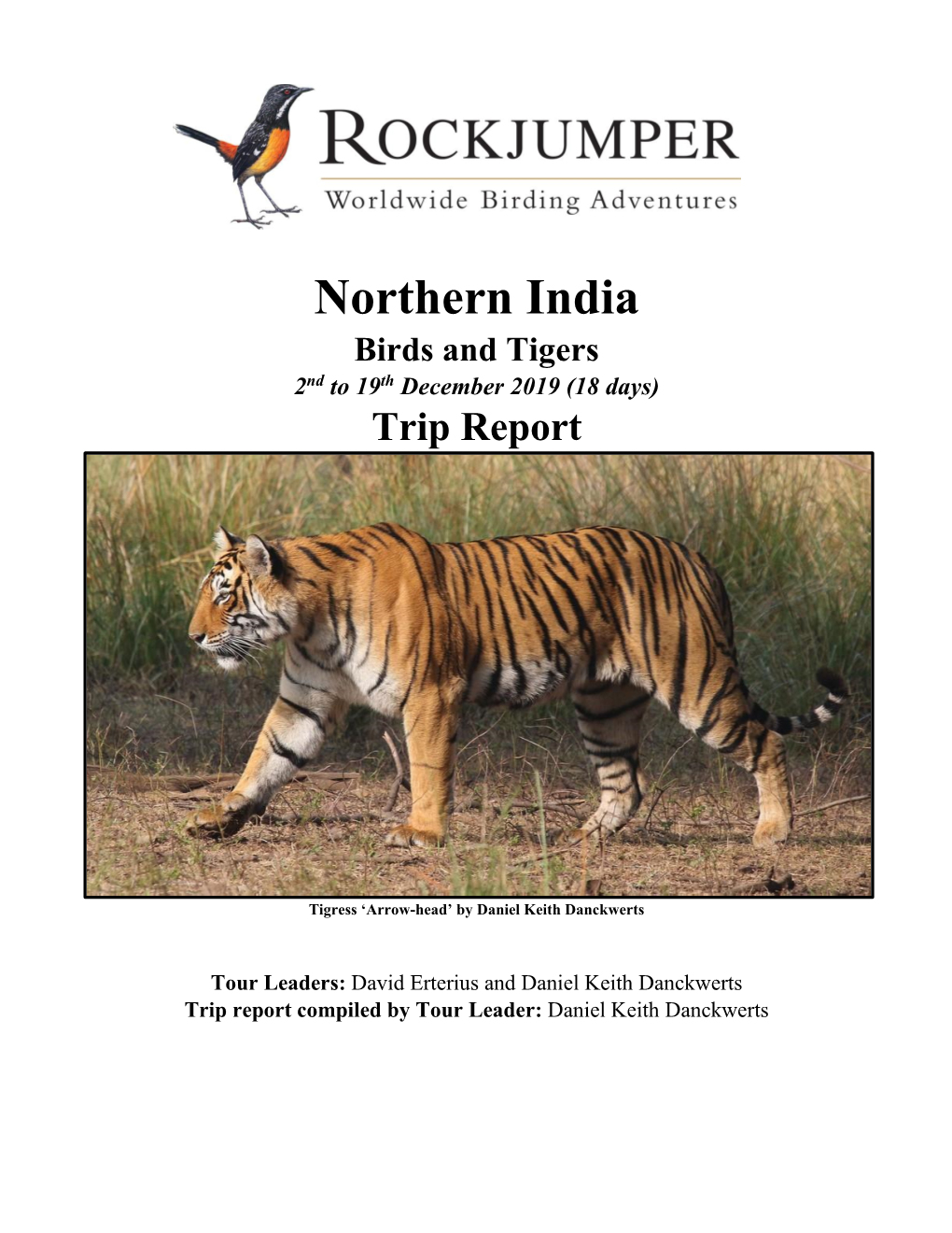Northern India Birds and Tigers 2Nd to 19Th December 2019 (18 Days) Trip Report