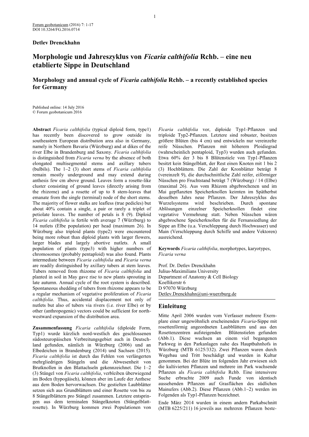 Morphologie Und Jahreszyklus Von Ficaria Calthifolia Rchb. – Eine Neu Etablierte Sippe in Deutschland