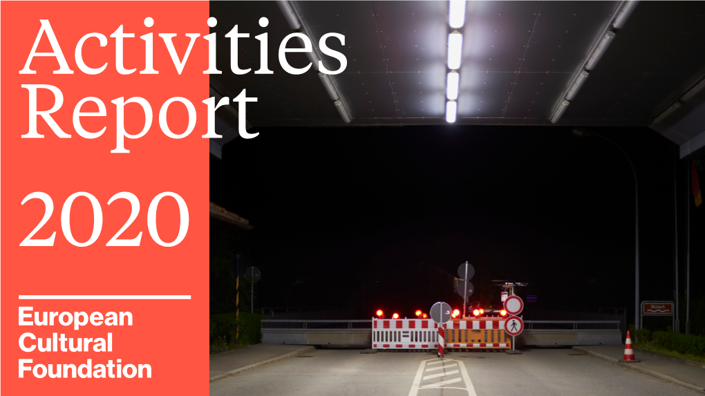 Activities Report 2020 Contents 2