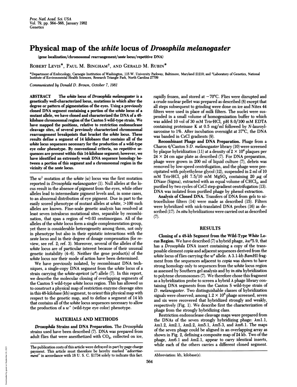 Physical Map of the White Locus of Drosophila Melanogaster (Gene Localization/Chromosomal Rearrangement/Zeste Locus/Repetitive DNA) ROBERT LEVIS*, PAUL M