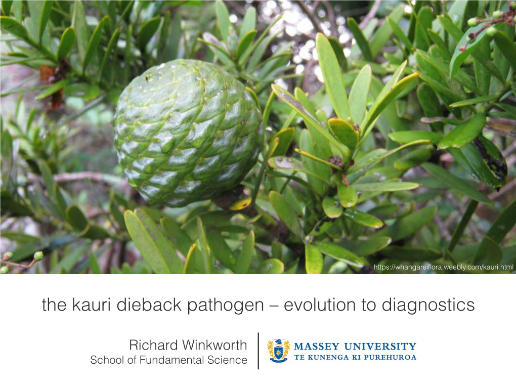 The Kauri Dieback Pathogen – Evolution to Diagnostics
