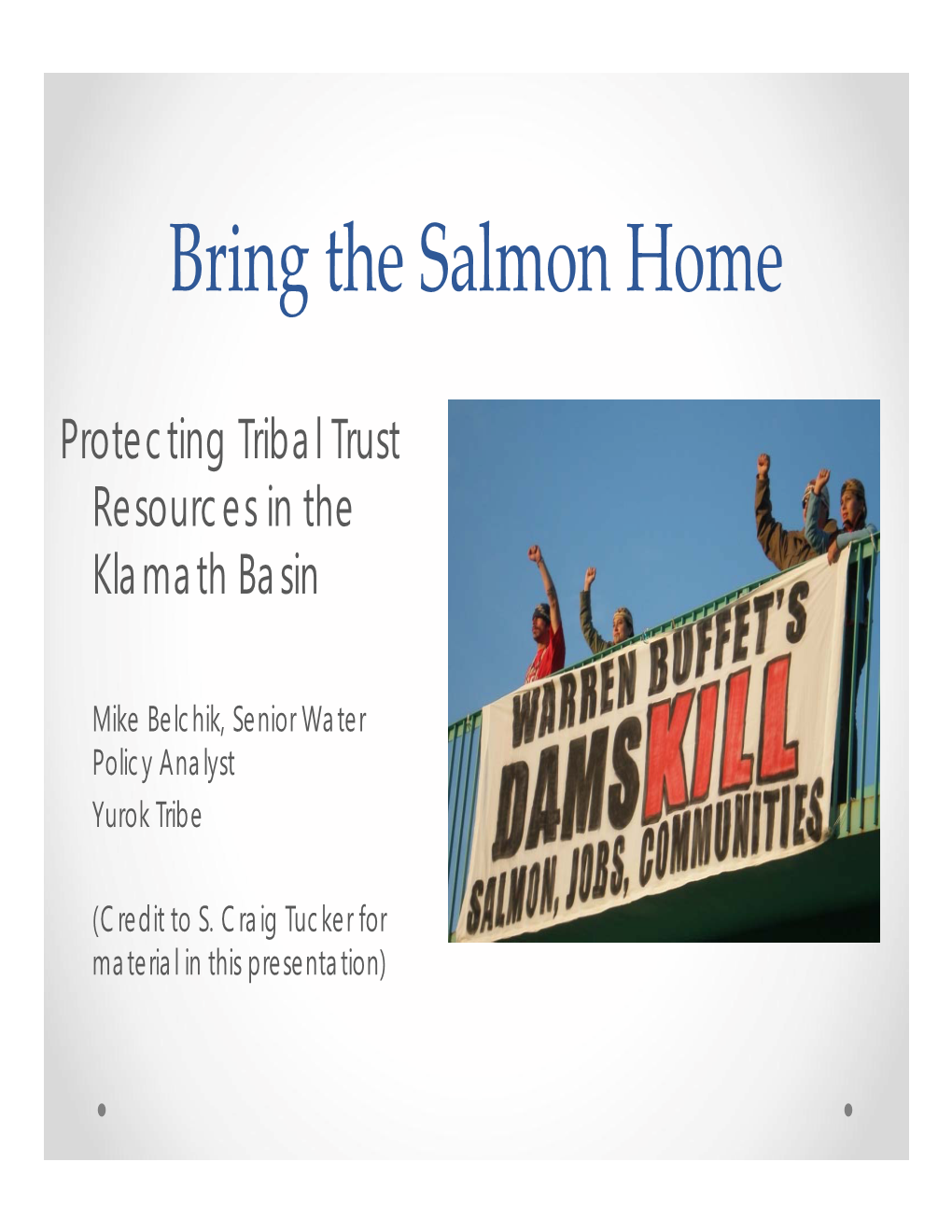 Bring the Salmon Home