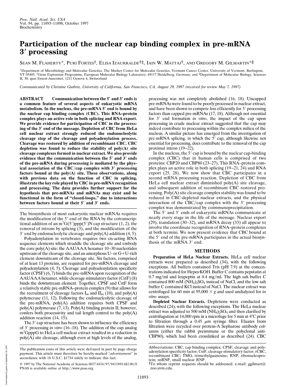 Participation of the Nuclear Cap Binding Complex in Pre-Mrna 3 Processing