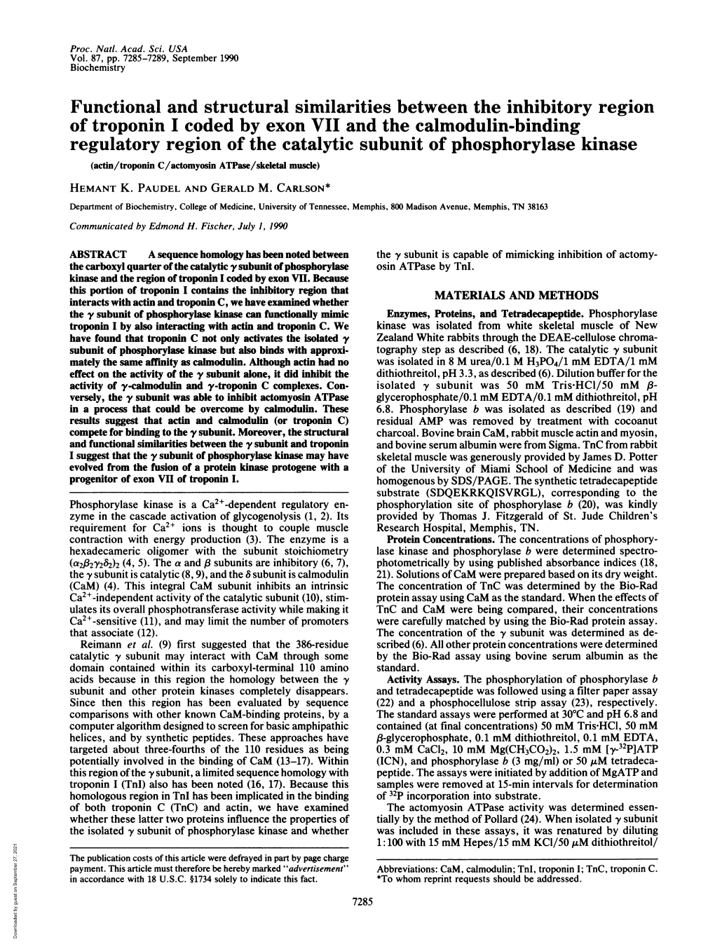 Functional and Structural Similarities Between the Inhibitory Region Of