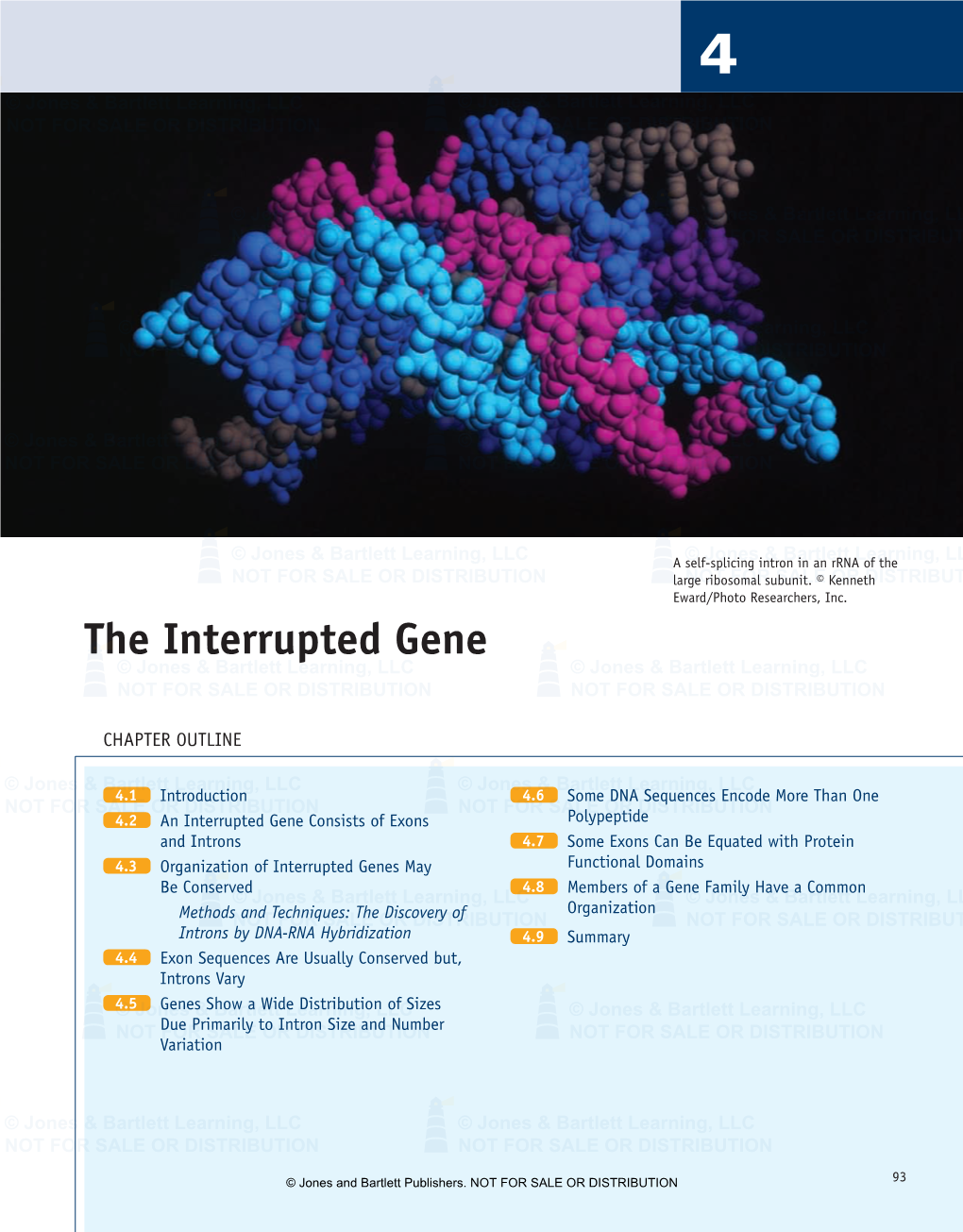 The Interrupted Gene © Jones & Bartlett Learning, LLC © Jones & Bartlett Learning, LLC NOT for SALE OR DISTRIBUTION NOT for SALE OR DISTRIBUTION