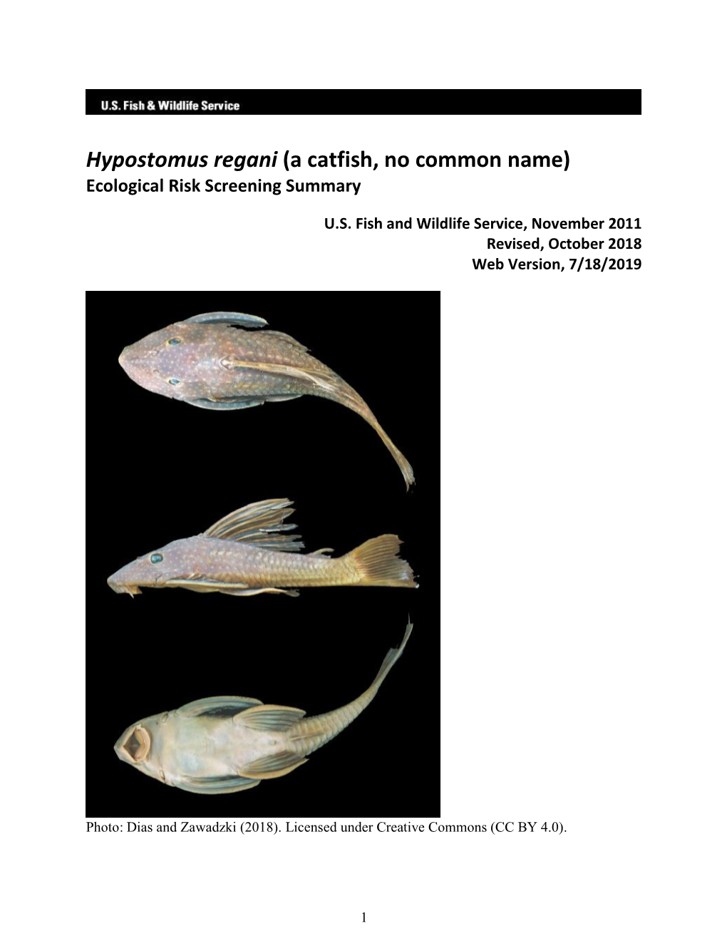 Hypostomus Regani Ecological Risk Screening Summary