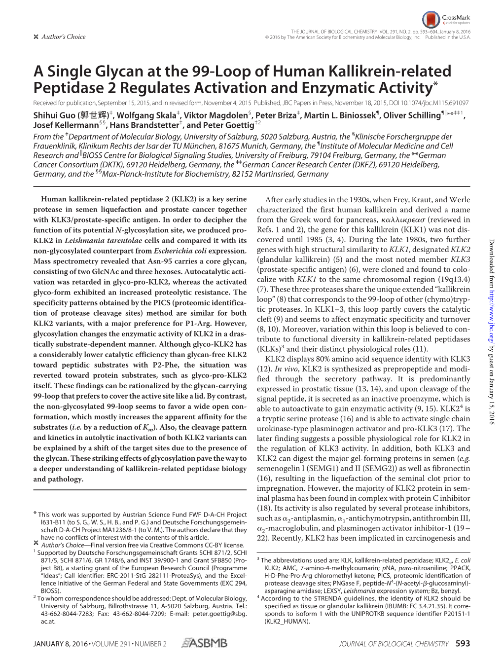 A Single Glycan at the 99-Loop of Human Kallikrein-Related Peptidase