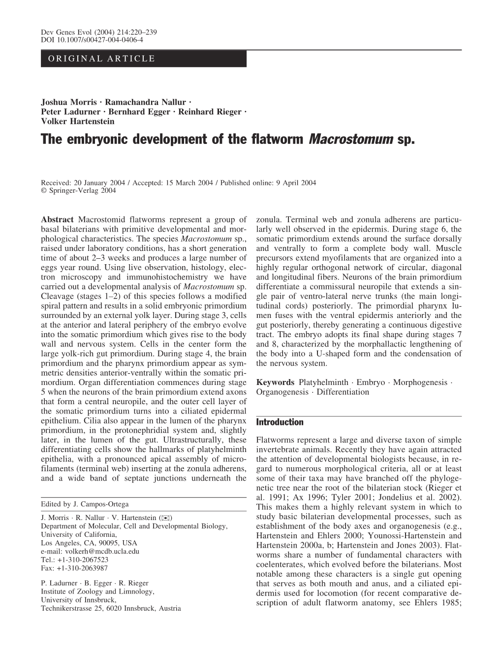 The Embryonic Development of the Flatworm Macrostomum Sp