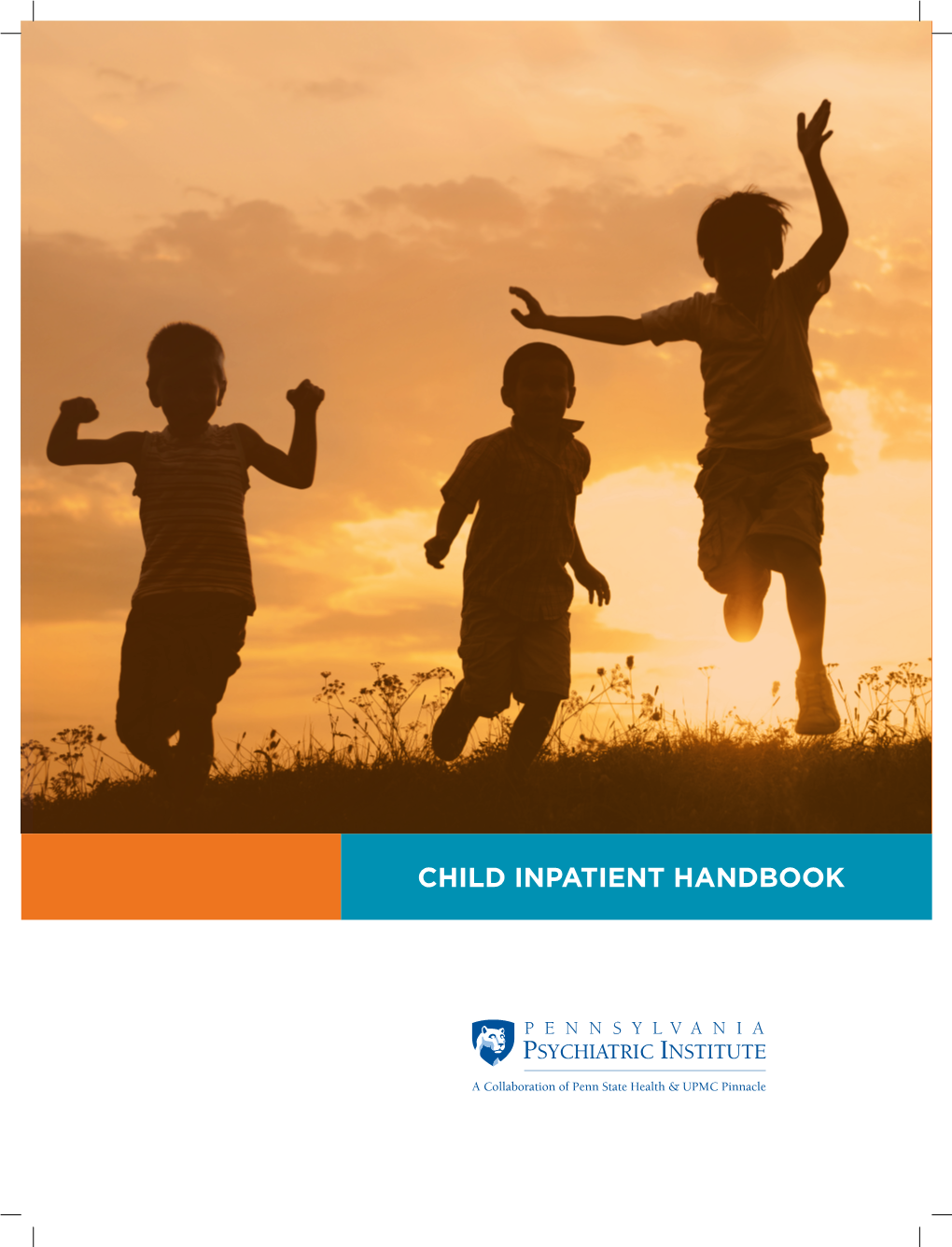 2019 PPI Child Inpatient Handbook