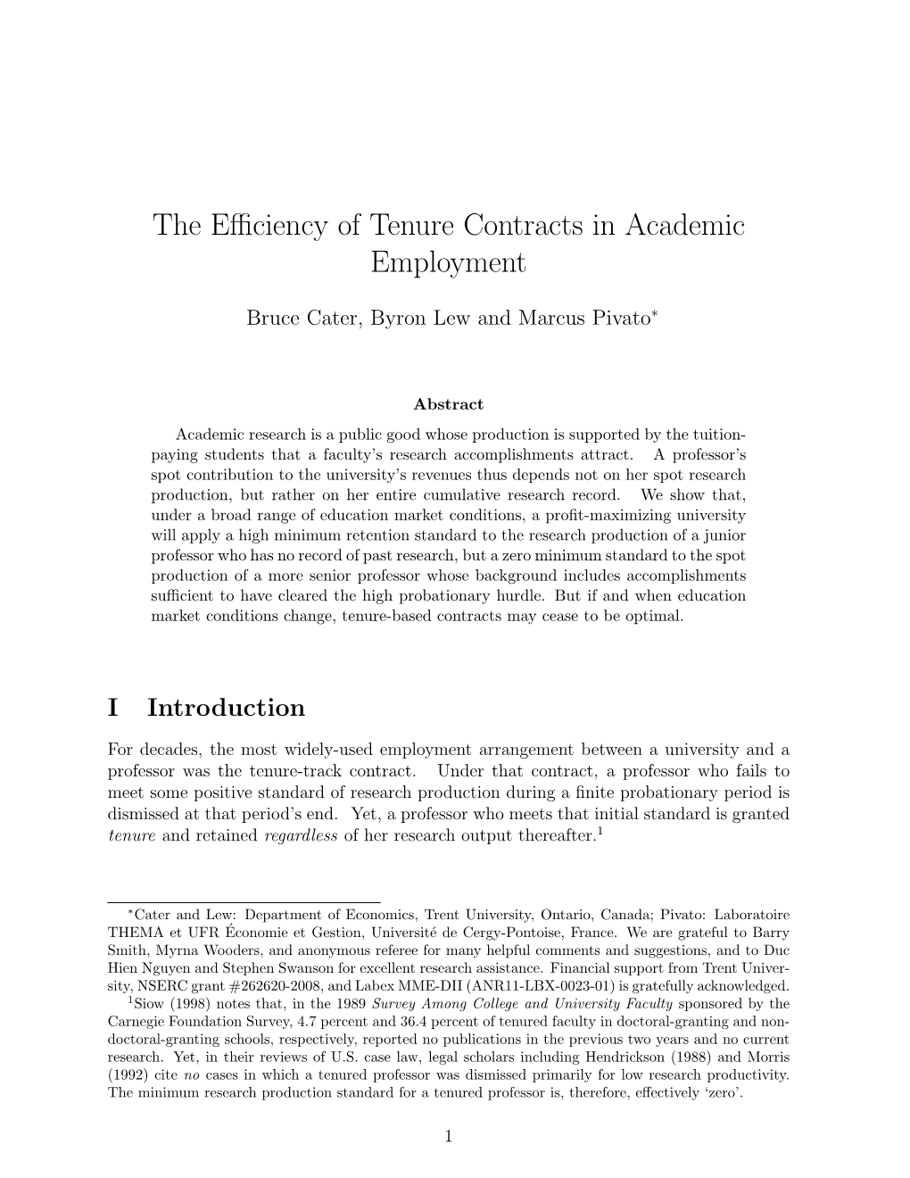 The Efficiency of Tenure Contracts in Academic Employment