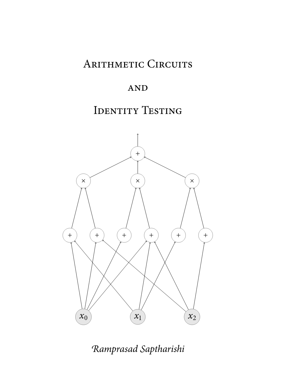 Arithmetic Circuits and Identity Testing