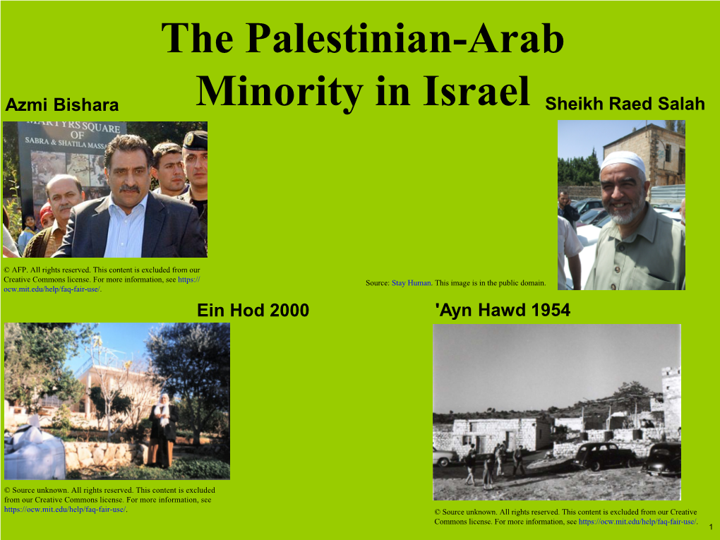 The Palestinian-Arab Minority in Israel