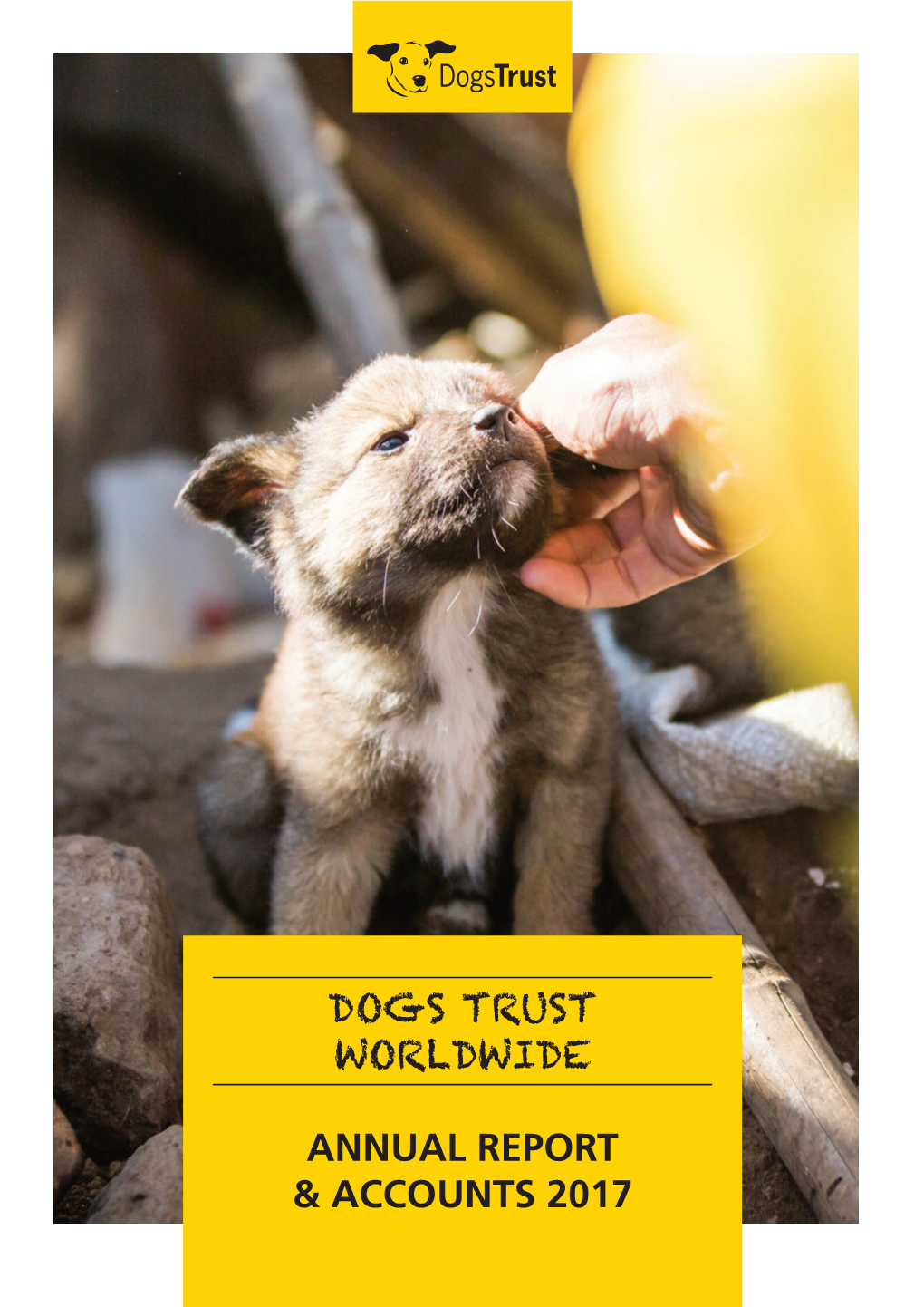 Dogs Trust Worldwide Annual Report & Accounts 2017
