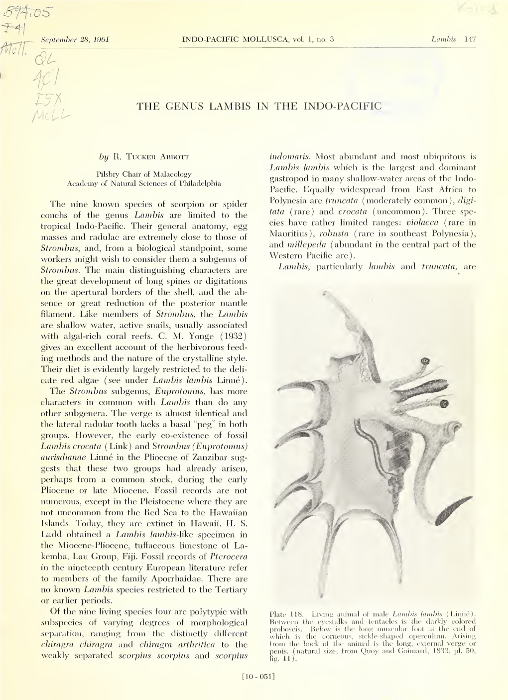 INDO-PACIFIC MOLLUSCA, Vol