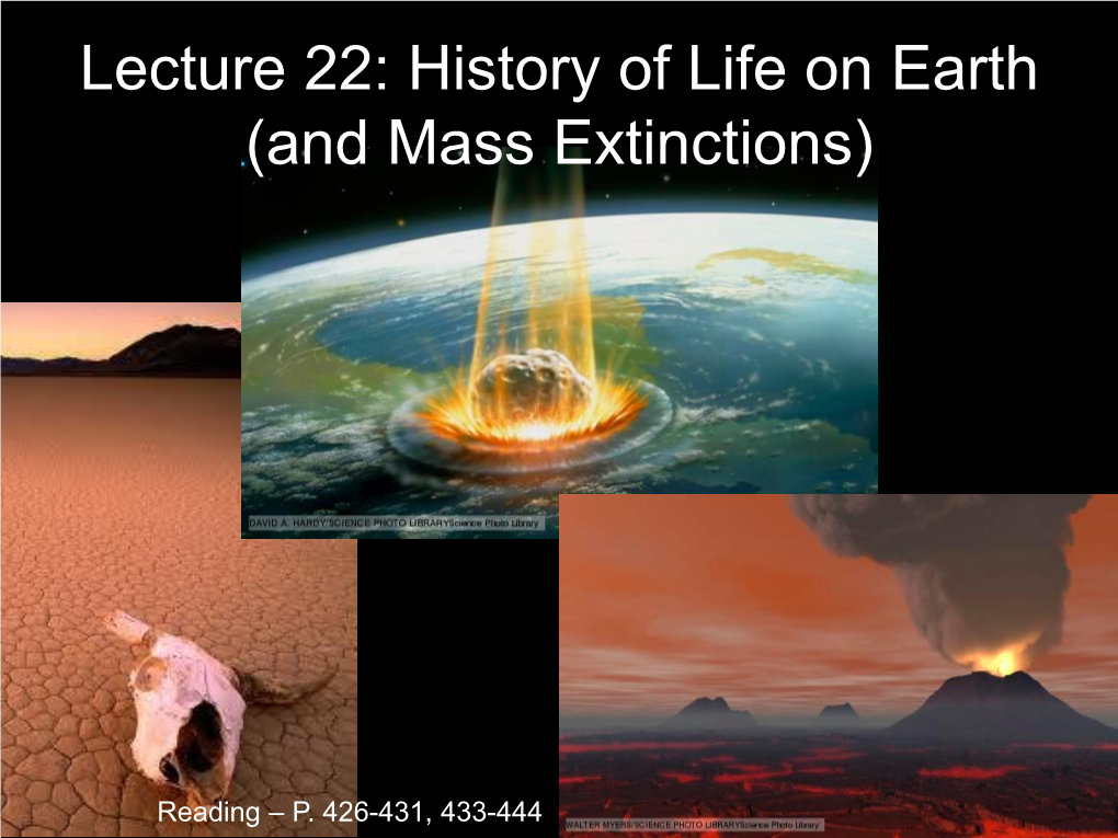 Lecture 22: History of Life on Earth (And Mass Extinctions)